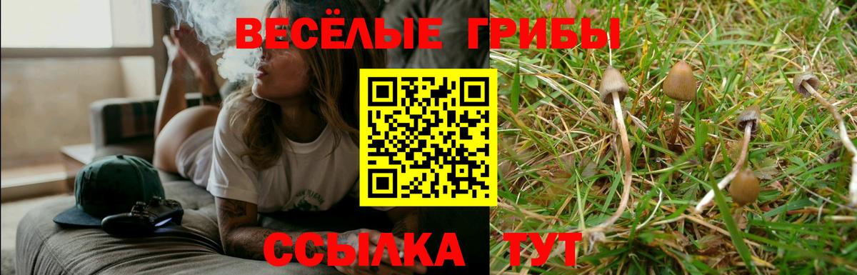 Галлюциногенные грибы MAGIC MUSHROOMS Саяногорск